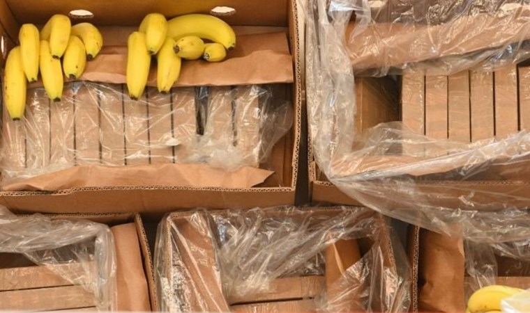 Muz kutularında yakalandı: ‘Rekor’ miktarda kokain