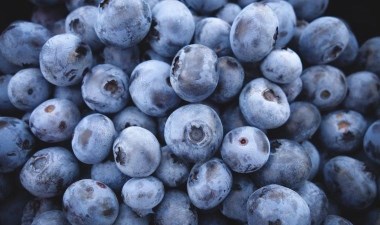 Yaban mersini mavi olmasına rağmen sıkıldığında neden bordo olur? – Son Dakika Bilim Teknoloji Haberleri | Cumhuriyet