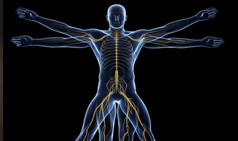 Bilimden mucizevi keşif: Hastalıkların temel nedeni bulundu