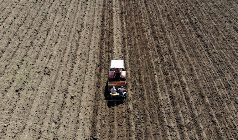 Bolu’da ekim başladı: Dane mısırdan zarar edince çareyi yine patateste buldular
