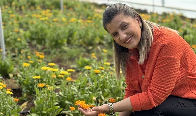 Hasat edildikten sonra krem ve sabuna dönüşecek! Cilt sağlığı için vazgeçilmez: Yılda 16 kez ürün veriyor…