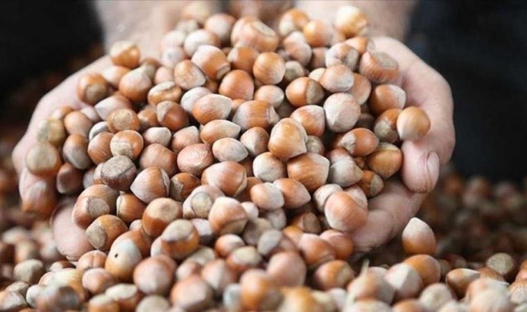 Tüm Köy Sen’den Ferrero’ya tepki: ‘Ferrero piyasayı ele geçirdi!’