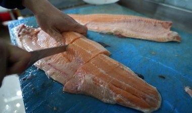 En ucuz protein kaynağı: Tezgâha gelen 100 kişiden 90’ı satın alıyor – Son Dakika Yaşam Haberleri | Cumhuriyet