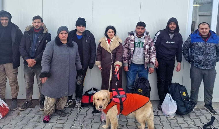 Yunanistan’a kaçarken rehber köpeği ile yakalandı
