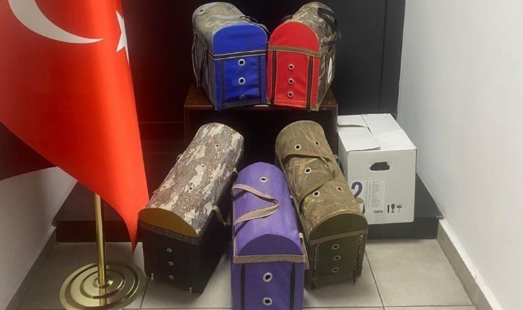 Horoz dövüştürenler yakalandı: Horozlar muhafaza altında