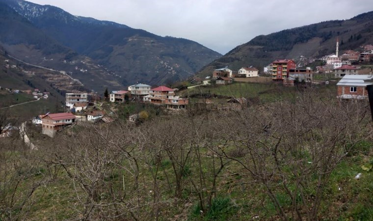 Referandum yaptılar: 34 yıl sonra Giresun’a bağlanıyorlar