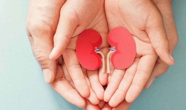 Böbrek sağlığına zarar veren 7 alışkanlık: Böbrek sağlığını tehdit ederek günden güne bitiriyor…