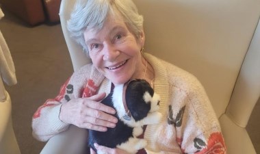 Demans hastalarına robot evcil hayvanlar verildi – Son Dakika Dünya Haberleri | Cumhuriyet