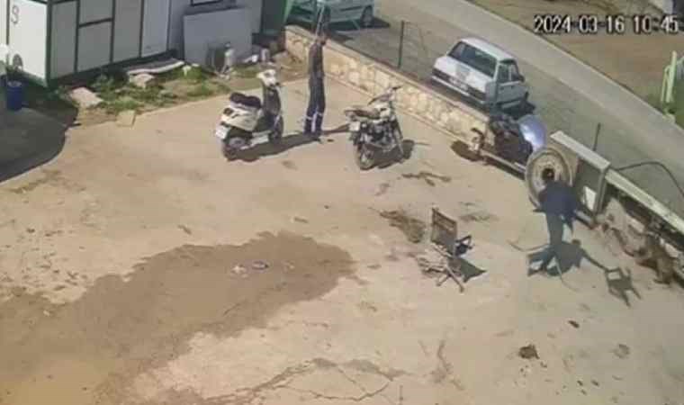 Köpeğe hortumlu, sandalyeli ve kürekli saldırı kamerada!