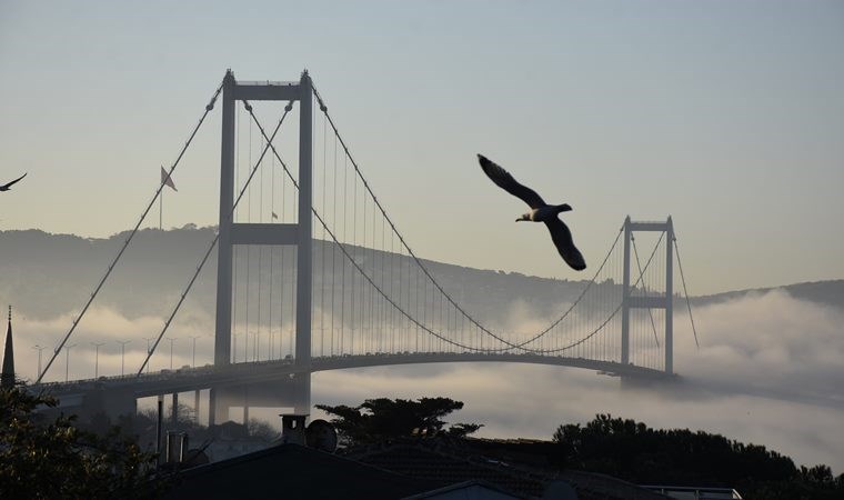 İstanbul Boğazı’nda gemi trafiği askıya alındı: Bazı vapur seferleri iptal oldu