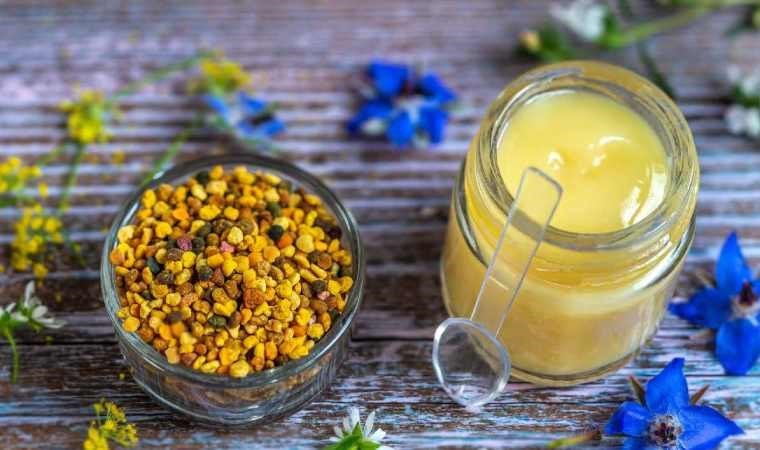 Arı sütü ve poleni gibi ürünlere dışarıdan herhangi bir madde eklenemeyecek