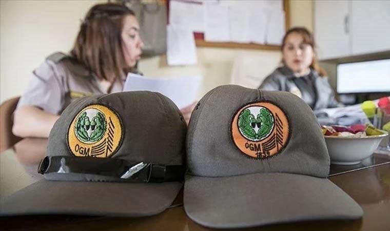 Orman Genel Müdürlüğü işçi alımı başvurusu ne zaman? Orman Genel Müdürlüğü işçi alımı başvurusu nasıl yapılır?