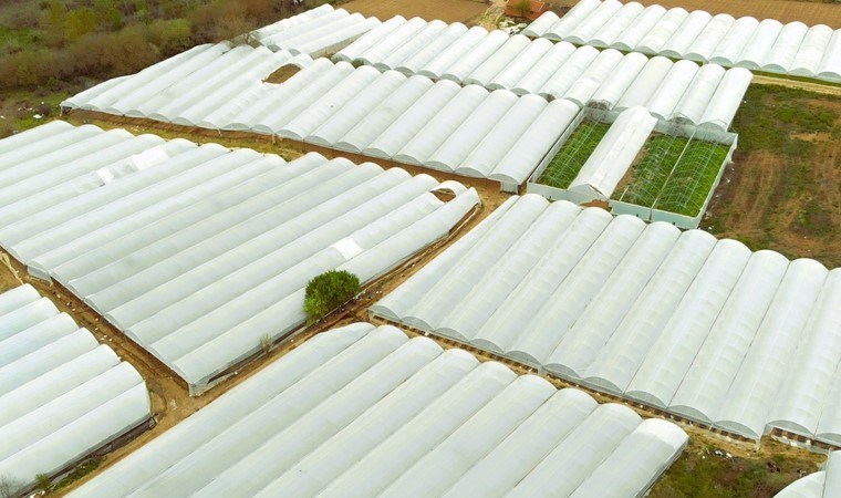 Bilecik’te ekim başladı: 4 bin dönümde üretiliyor…