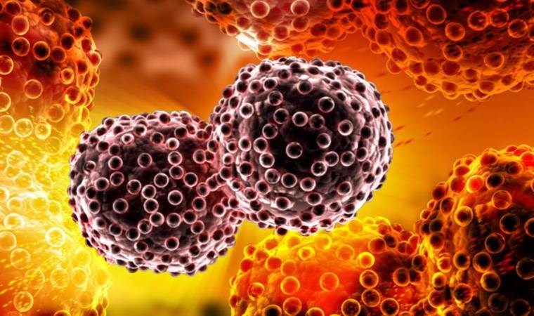 Doğada kendi kendine yetişiyor, kansere deva oluyor!