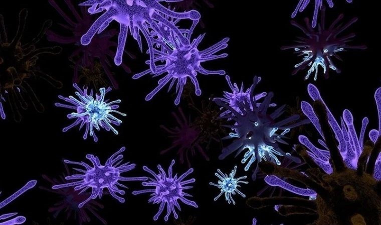 Bilim insanları: ”Dünya dışı yaşamın yeni rehberi olabilir”