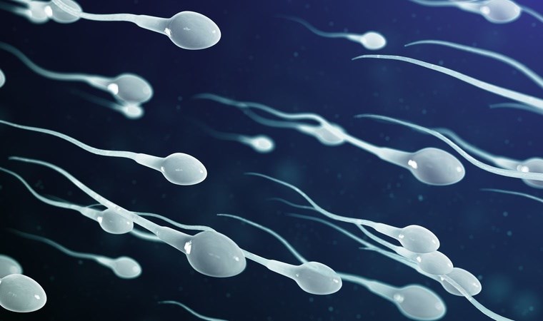 Dünyanın en büyük sperm bankası, bir ülkede daha şube açtı