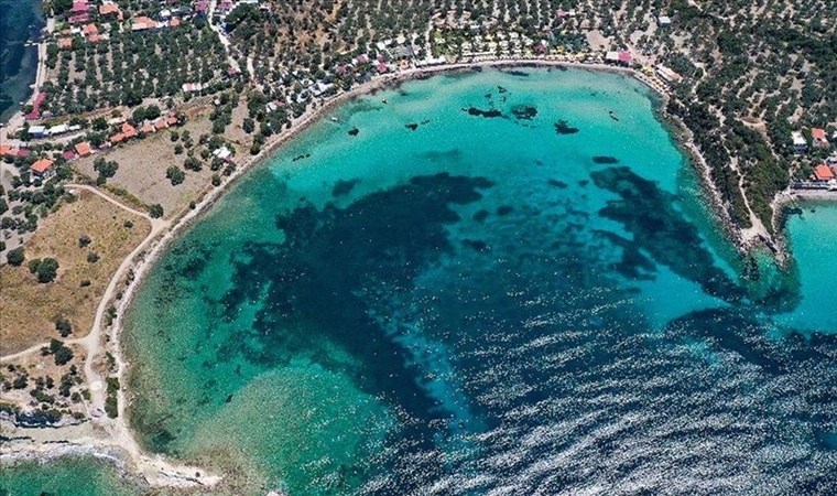 Sezon başladı, fiyatlar arşa çıktı: Kiralık villa fiyatları günlük 1 milyon lirayı buldu