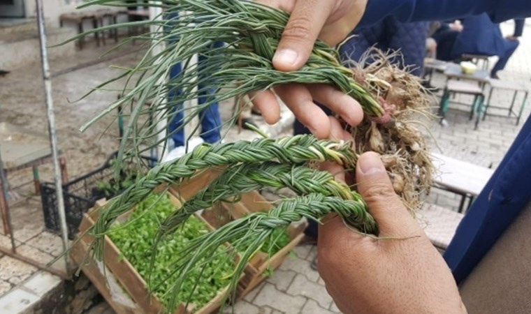Fiyatını duyan dönüp bir daha bakıyor: 5 bin liradan alıcı buluyor