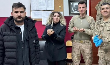 Yavru sincap satan 3 kişiye 174 bin TL ceza – Son Dakika Türkiye Haberleri | Cumhuriyet