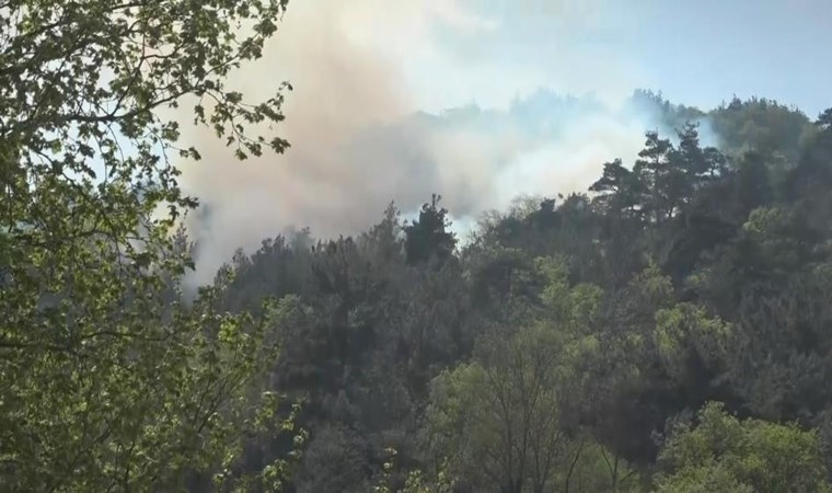 Bursa’da orman yangını!