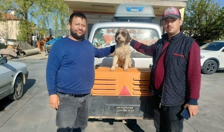 Kaybolan köpeğini bulan kişiye 10 kilo bal hediye etti