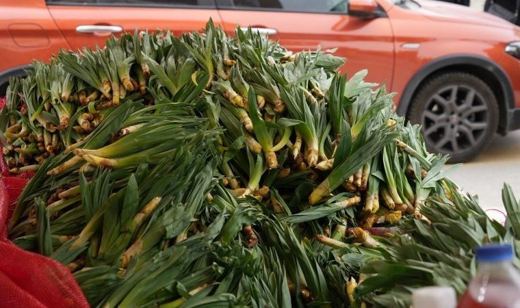 Lezzet ve şifa deposu! Doğada kendiliğinden yetişiyor: Kilosu 50 TL