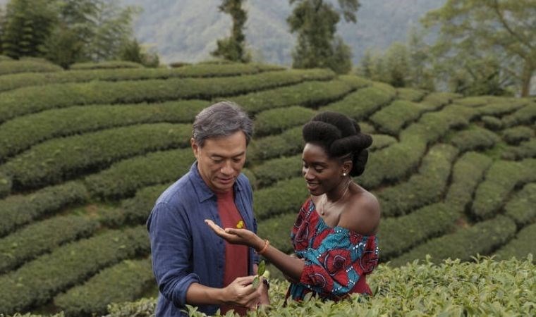 Abderrahmane Sissako’nun Siyah Çay ve Luca Guadagnino’nun Rekabet filmleri vizyonda: Daha iyi bir Dünya’ya doğru