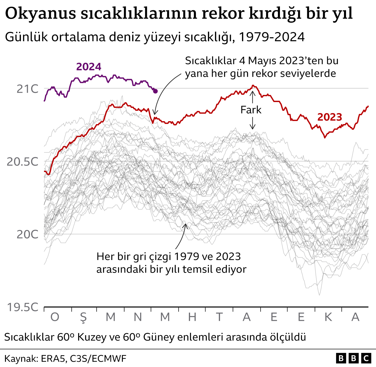 Okyanus sıcaklıkları geçen yıl her gün yeni bir rekor kırdı