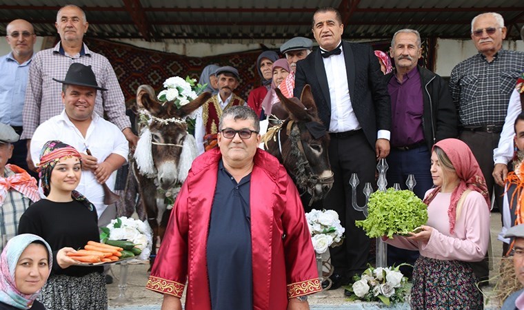 Nesli tükenmesin diye eşeklere sembolik düğün