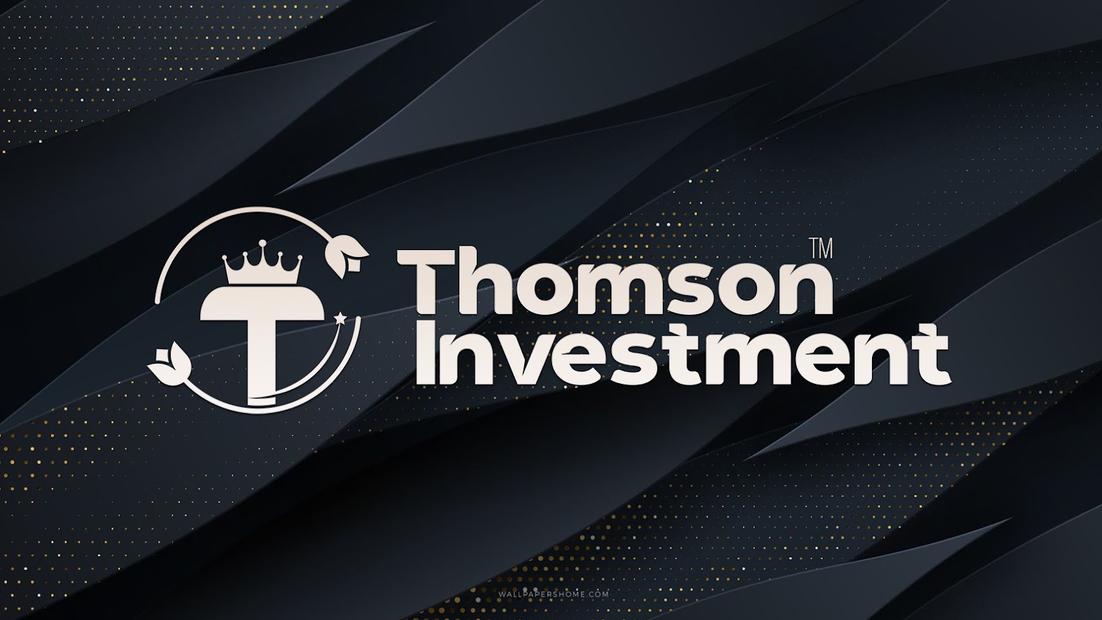  Thomson Investment Ar-Ge Merkezi’nin Başarı Hikayesi