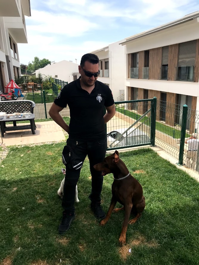 S.I.R K9 Köpek Eğitim Akademisi: Online Eğitimde Bir İlk