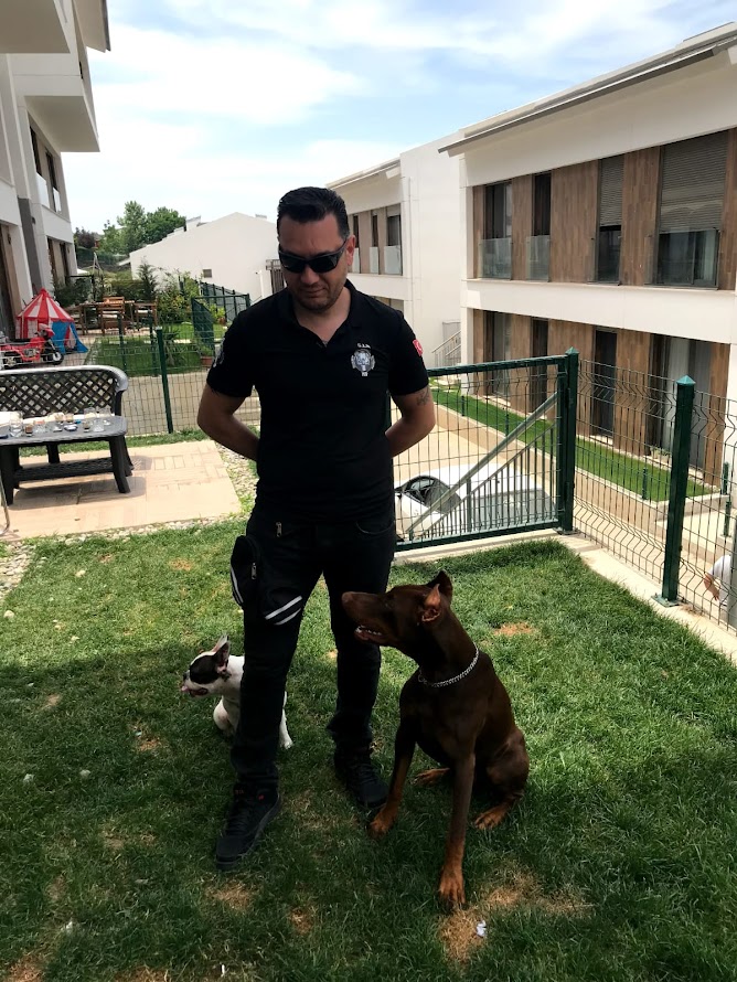 S.I.R K9 Köpek Eğitim Akademisi: Online Eğitimde Bir İlk
