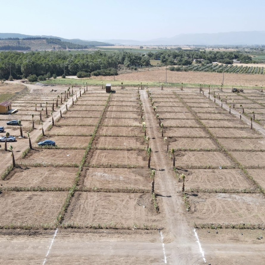 İzmir Menderes’te Harun Karakaya’dan Yeşilköy Projesi ile Beton Kapatılıyor