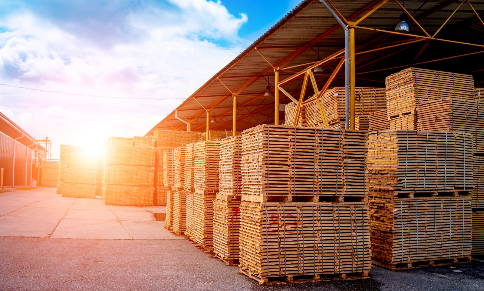 Akkoyun Orman Ürünleri ve İnşaat: Palet ve Kereste Çözümleri