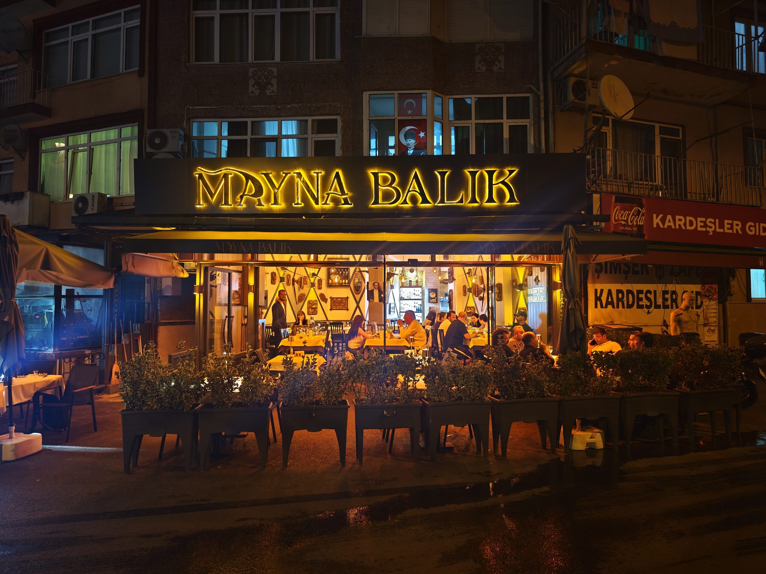 Mayna Balık Hikayesi