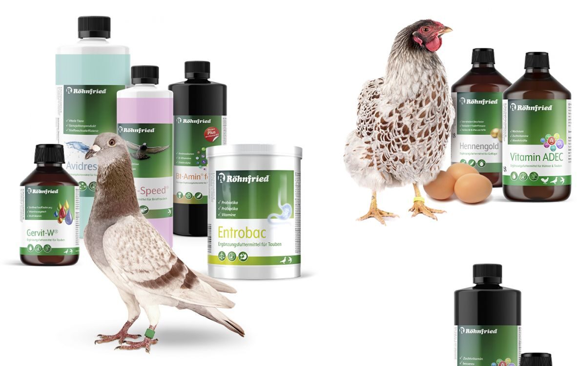 Malatya Yem: Türkiye’nin Lider Yem Firması