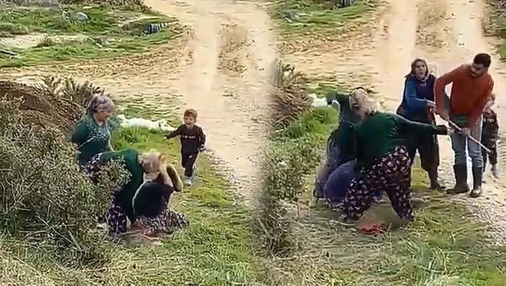 Arazi Kavgasında Dehşet: 5 Yaşındaki Çocuk Annesinin Darp Edilişini İzledi