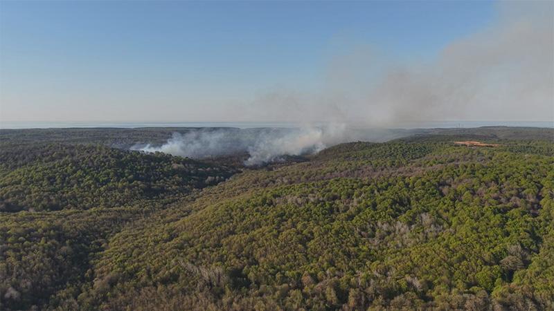 Beykoz’da Korkutan Yangın: Kontrol Altına Alındı Ama Tehlike Sürüyor