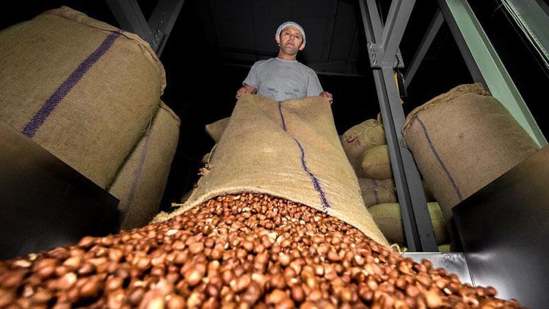 Doğu Karadeniz’den 4 Ayda 678 Milyon Dolarlık İhracat