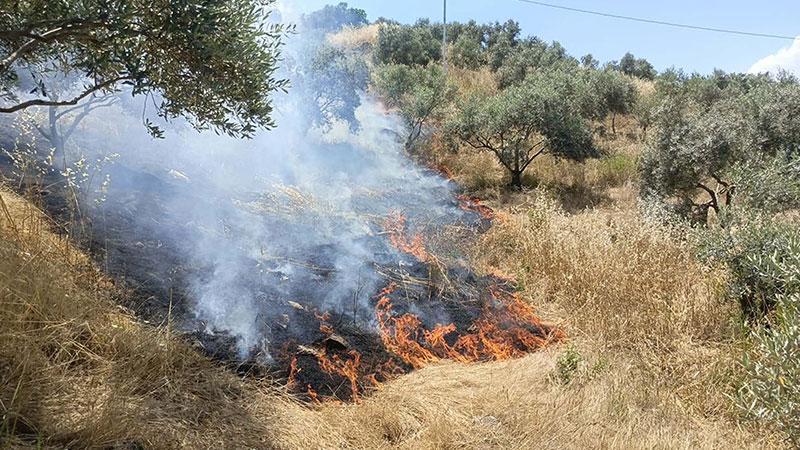 Aydın Yenipazar’da Makilik Yangını: 40 Dekar Alan Zarar Gördü