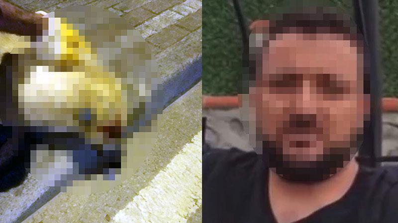 “Aracından İnmeyebilirdi”: İstinaftan Köpek Katliamı Davasında Bozma Kararı
