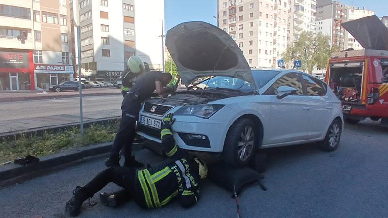 Park Halindeki Otomobilde Yılan Paniği