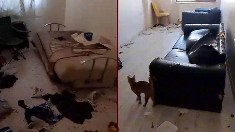 Bahçelievler’de Aylardır Süren Kötü Koku İhbarı Sonrası Evden 6 Kedi Çıkarıldı