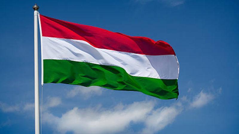 Polonya’ya ait yolcu otobüsü Macaristan’da kaza yaptı: 12 kişi hayatını kaybetti
