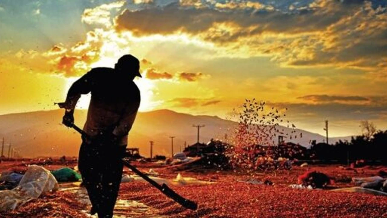 Eyyübiye’de Tarımsal Üretim İçin Ziraat Odası Talebi Öne Çıkıyor