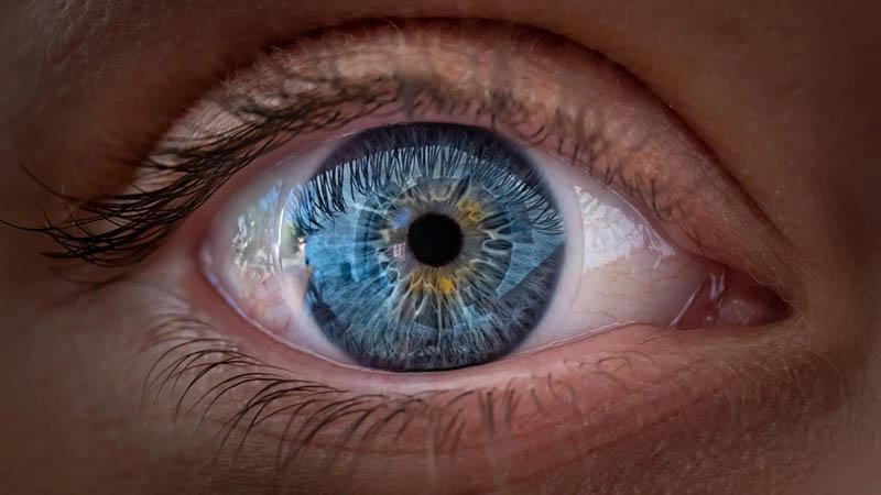 Retina taramasında yapay zeka dönemi: Biyolojik yaşlanma gözden anlaşılabilecek
