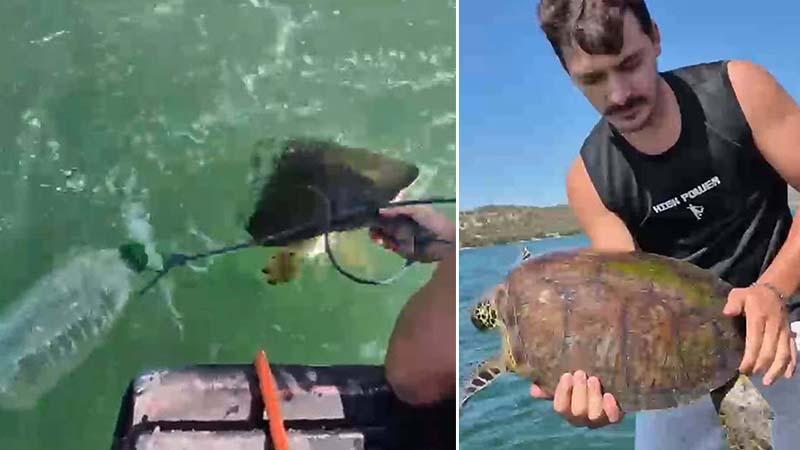 Milas’ta caretta caretta için seferber oldular: Pet şişe ve ipten kurtardılar
