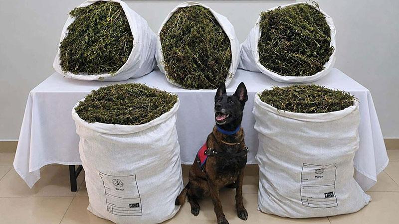 Tire’de uyuşturucu operasyonu: 3 kişi tutuklandı